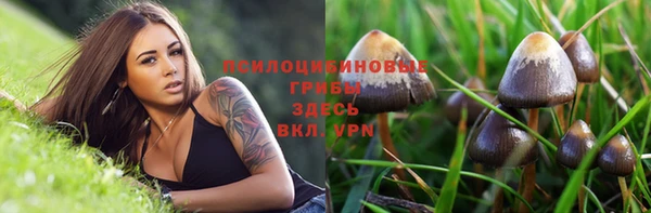 2c-b Переславль-Залесский