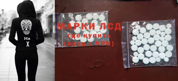 шишки Беломорск