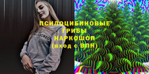 шишки Беломорск