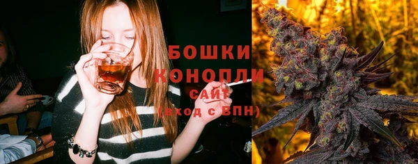 шишки Беломорск