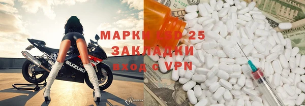 шишки Беломорск